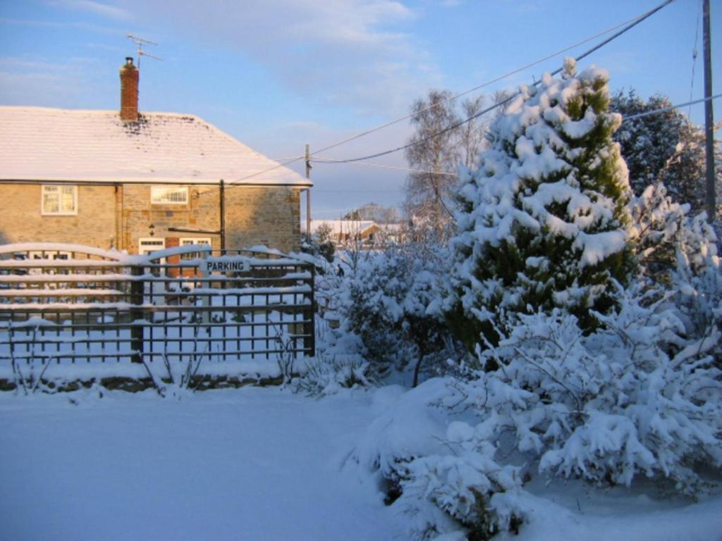 مبيت وإفطار Halstock Quiet Woman House المظهر الخارجي الصورة