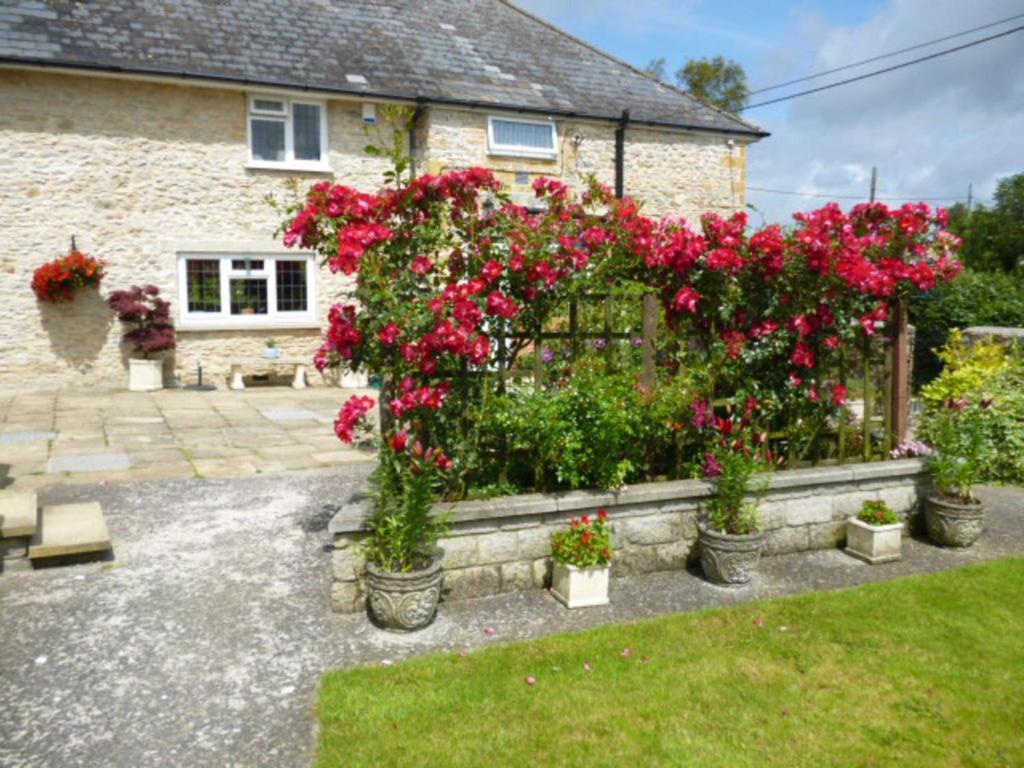 مبيت وإفطار Halstock Quiet Woman House المظهر الخارجي الصورة